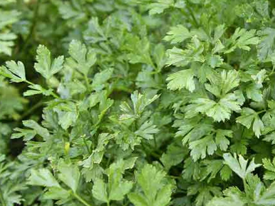 Έχετε ναυτία; Έχουμε τη λύση